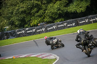 Lower Group White Bikes